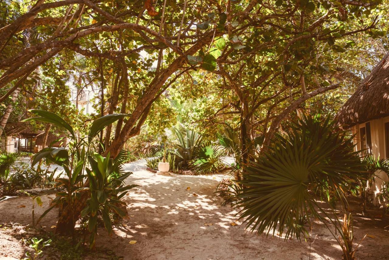 Esencial Tulum Otel Dış mekan fotoğraf