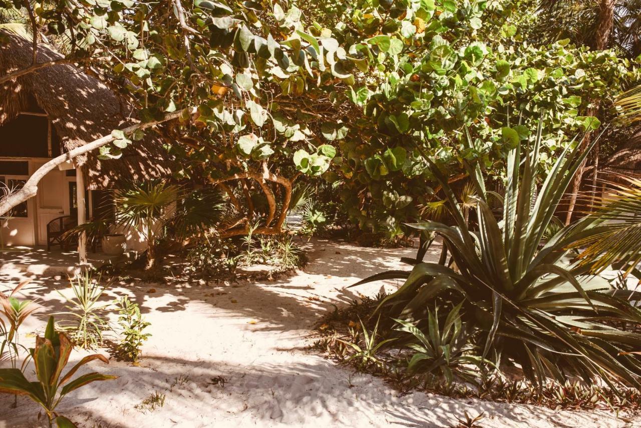 Esencial Tulum Otel Dış mekan fotoğraf