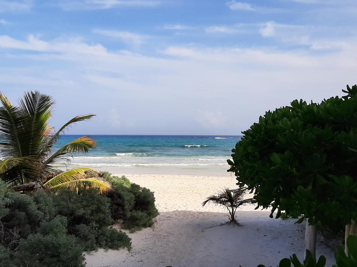 Esencial Tulum Otel Dış mekan fotoğraf